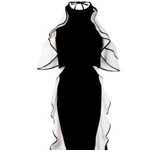 JONATHAN SIMKHAI Ladies Dress